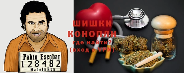 прущие грибы Нефтегорск