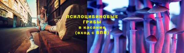 ECSTASY Нефтекумск