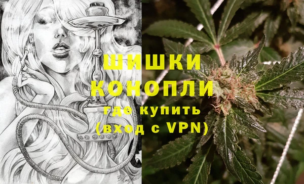 прущий лед Новозыбков