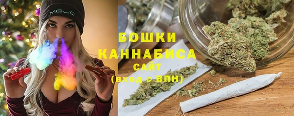 прущий лед Новозыбков