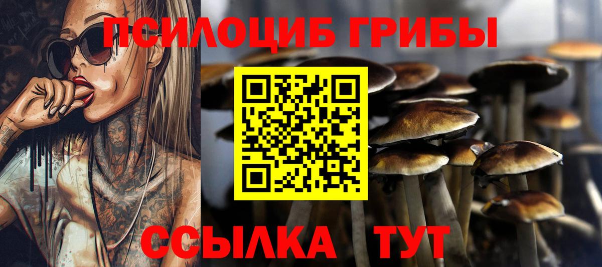 Каннабис Старая Русса
