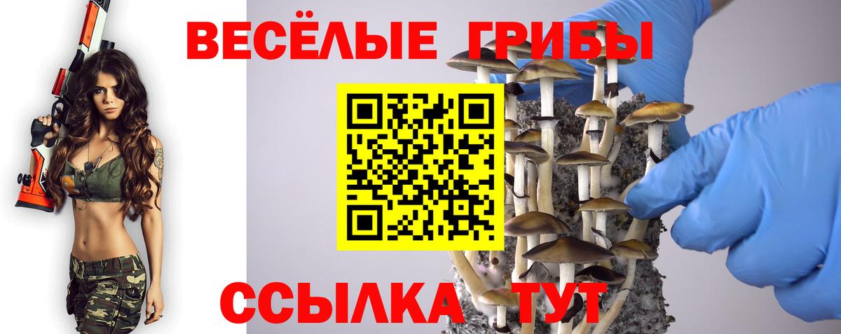 закладка  Вход с VPN  Старая Русса  Псилоцибиновые грибы Psilocybine cubensis 